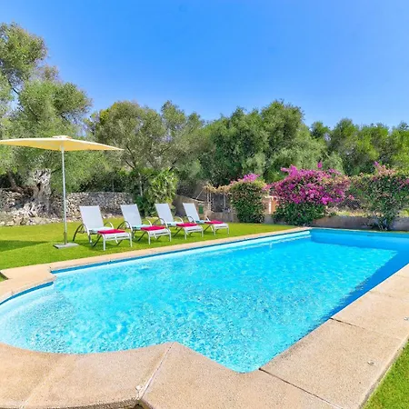 Villa Olivo By